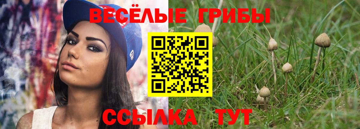 Псилоцибиновые грибы Psilocybine cubensis Медногорск
